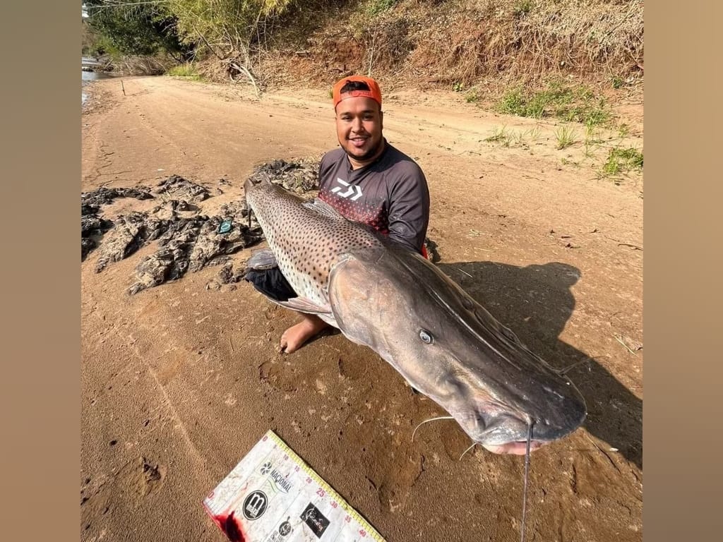 História de pescador? Jovem pesca pintado de quase dois metros em rio do Paraná