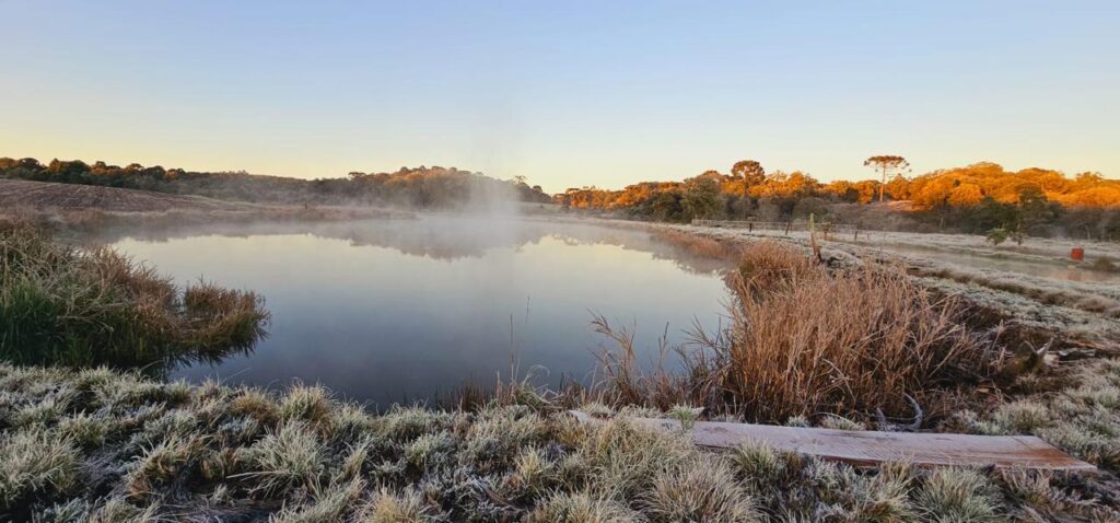 São Mateus do Sul tem madrugada gelada com termômetros marcando -2,8°C e sensação térmica de -4,8°C