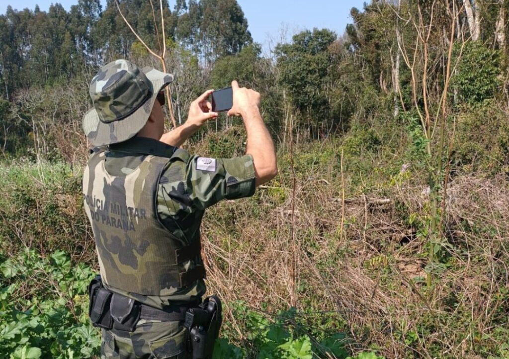 Proprietário é multado em mais de R$ 30 mil por danos ambientais em área rural da Lapa