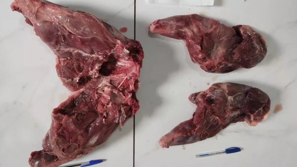 Carne de animal silvestre é apreendida em operação contra caça no Oeste do Paraná