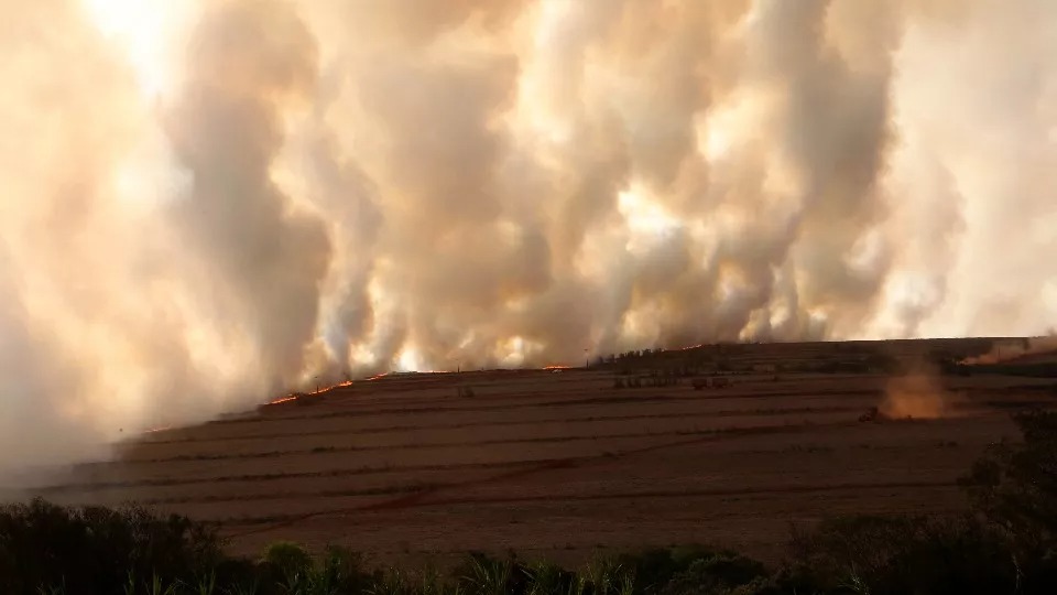 Seca mais severa da história do país vai pesar nos bolsos dos brasileiros