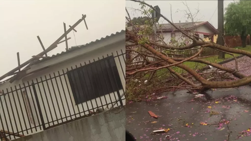 Tempestade com granizo e queda de árvore deixa casas destruídas no PR; veja imagens