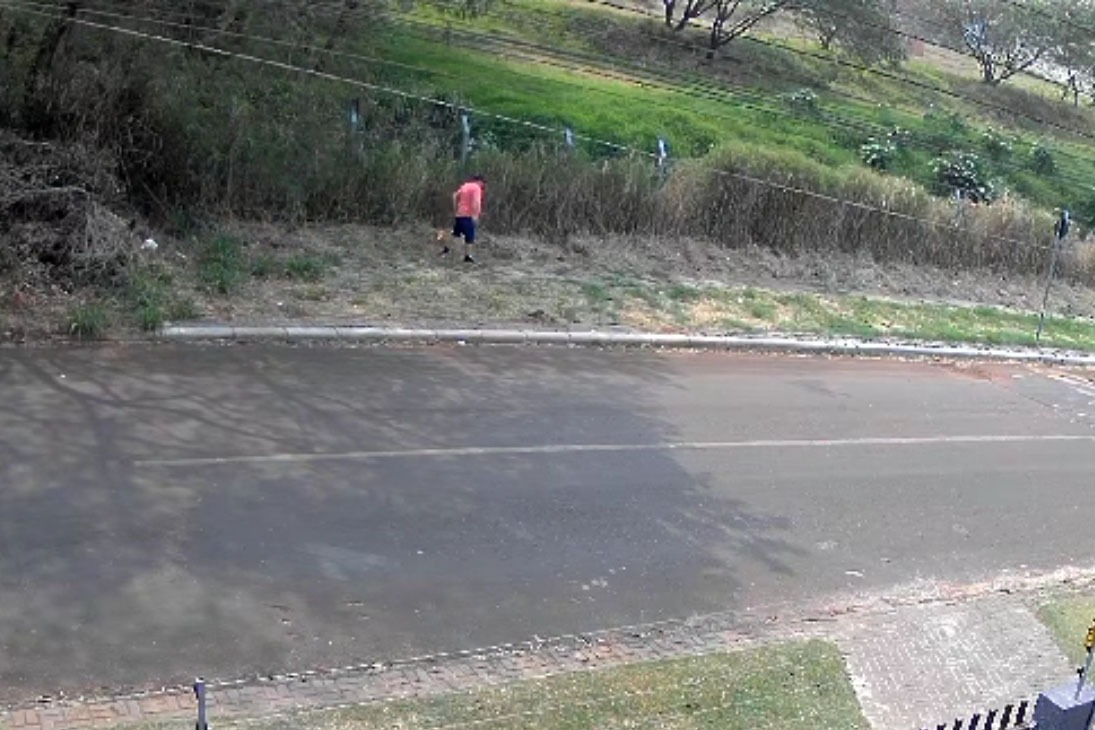 Homem é preso por crime ambiental ao colocar fogo em vegetação no Paraná