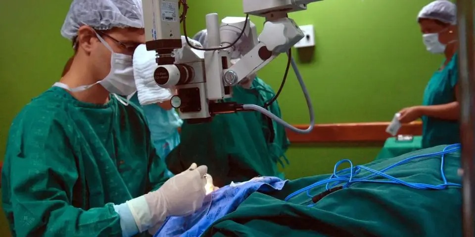 Hospital das Clínicas realiza 1º transplante de útero em vida na América Latina