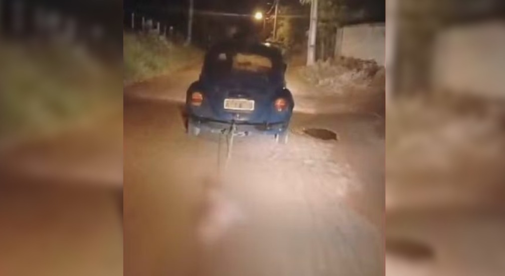 Motorista é preso após amarrar cachorro a carro e arrastá-lo pela rua, no Paraná