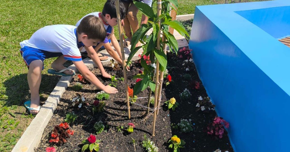 Educação ambiental: escola do Paraná recebe Jardim de Água e Mel da Sanepar