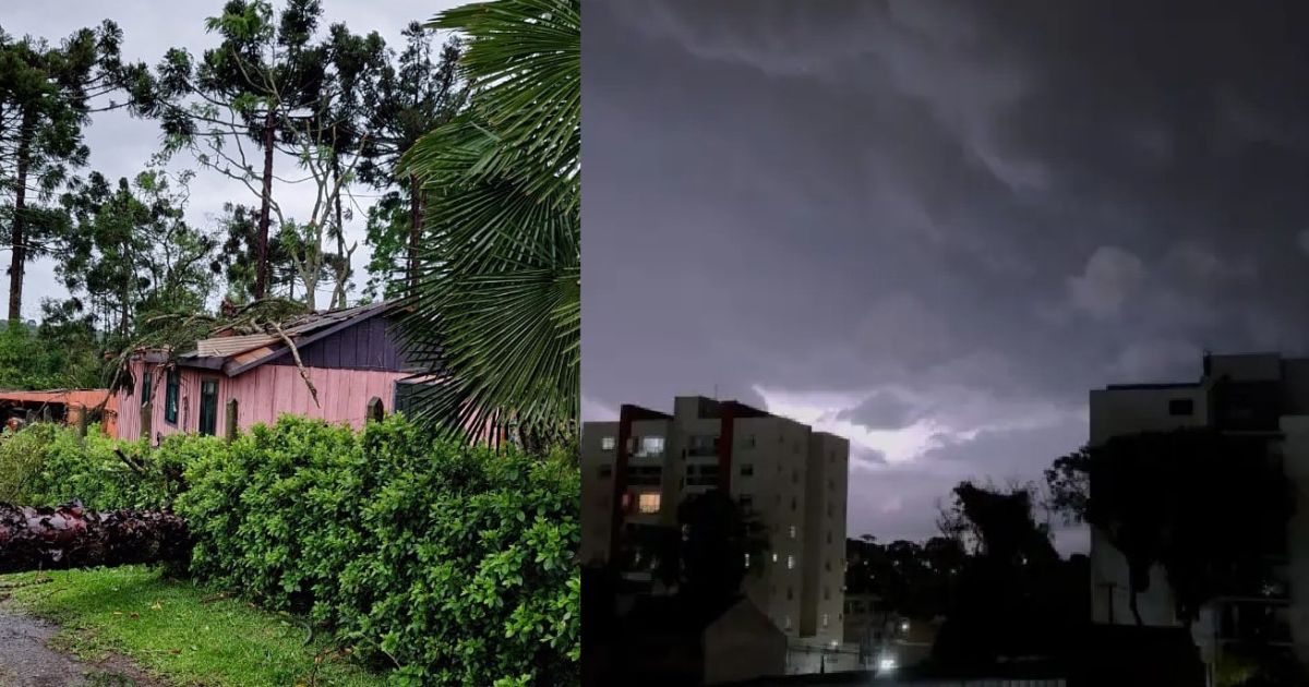 Queda de árvores, energia e ventania assustadora: temporal causa estragos em todo o Paraná; vídeos