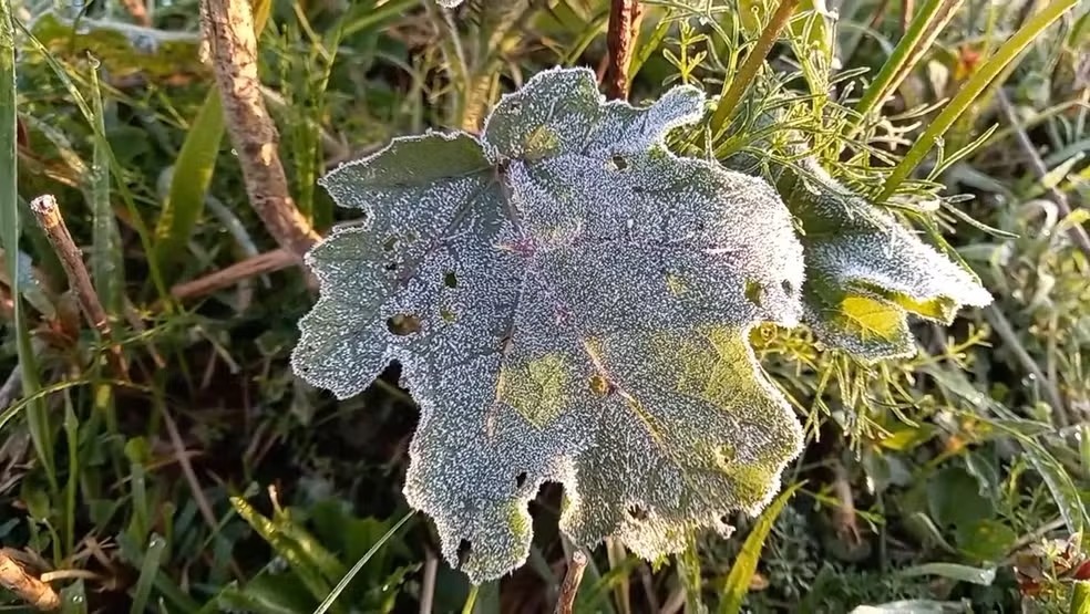 SC amanhece com formação de geada e termômetros abaixo de 0 °C; VÍDEO