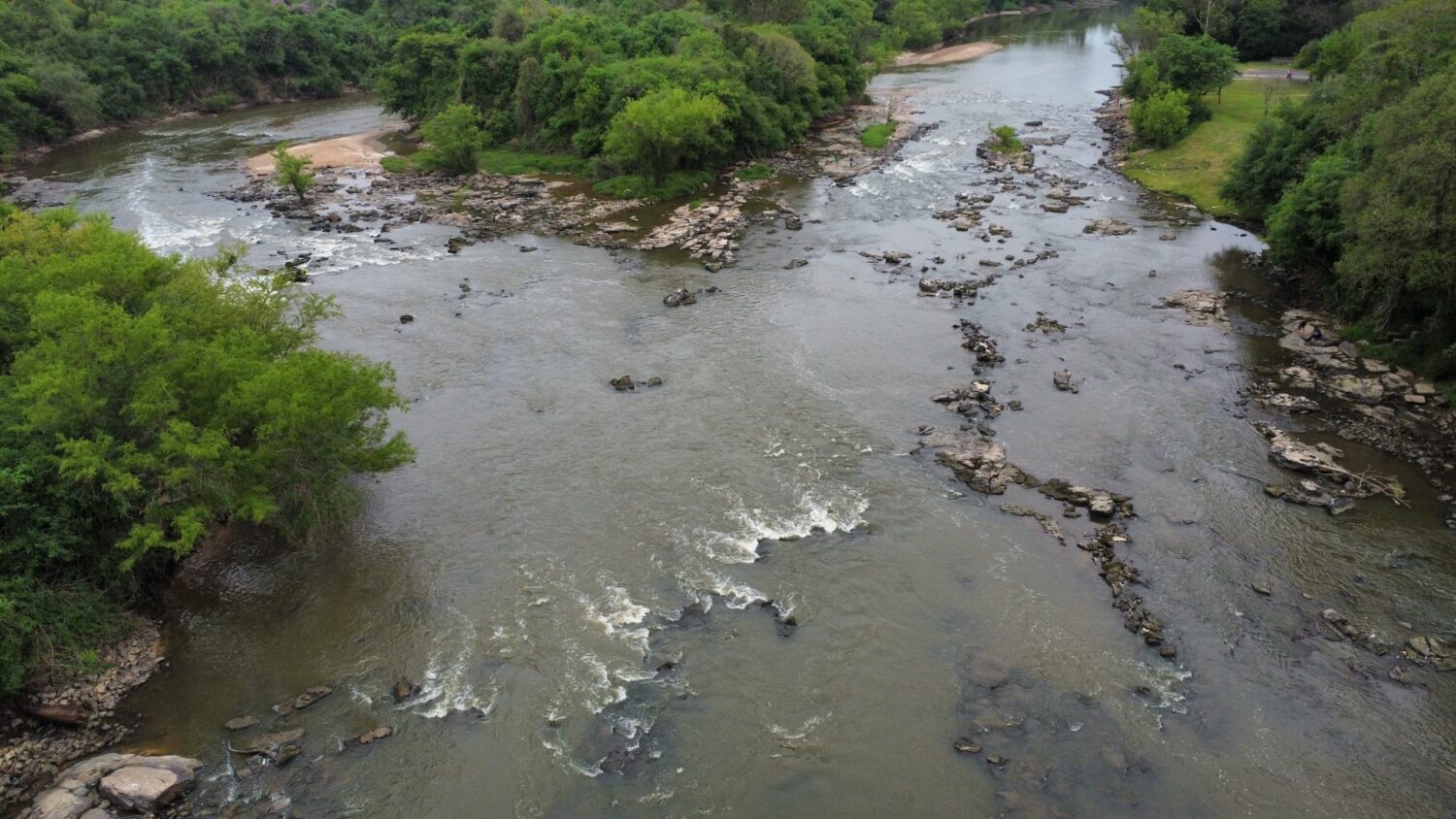 Preocupação ambiental no Rio Iguaçu: peixes mortos e trechos secos são registrados