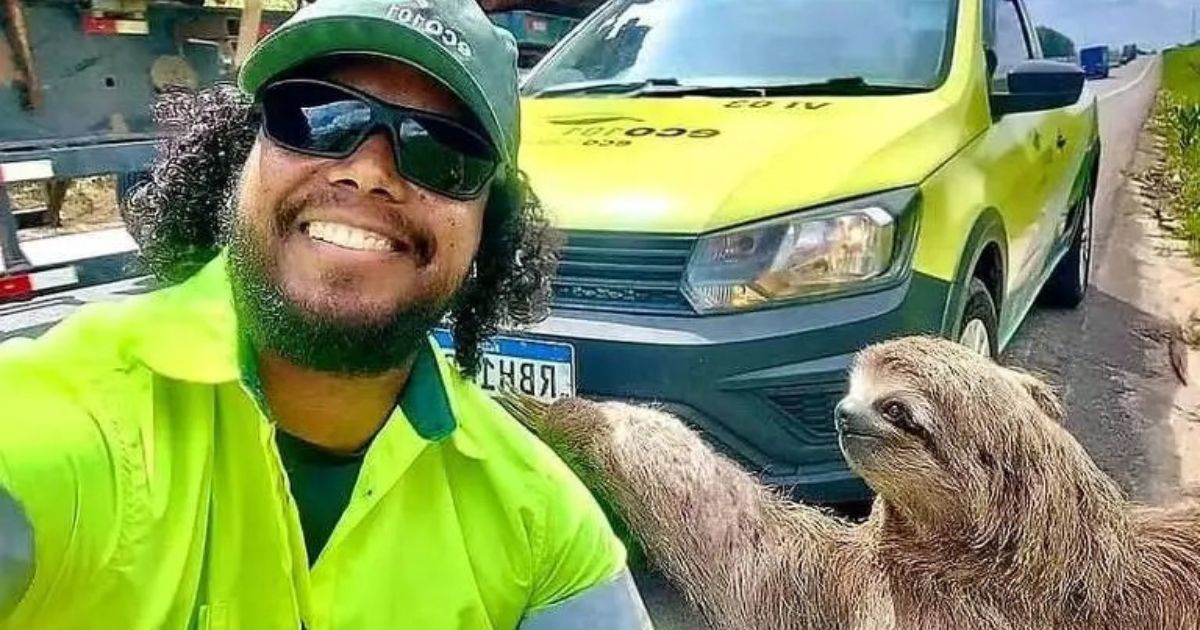 Preguiça resgatada em rodovia do Espírito Santo faz pose em selfie e viraliza