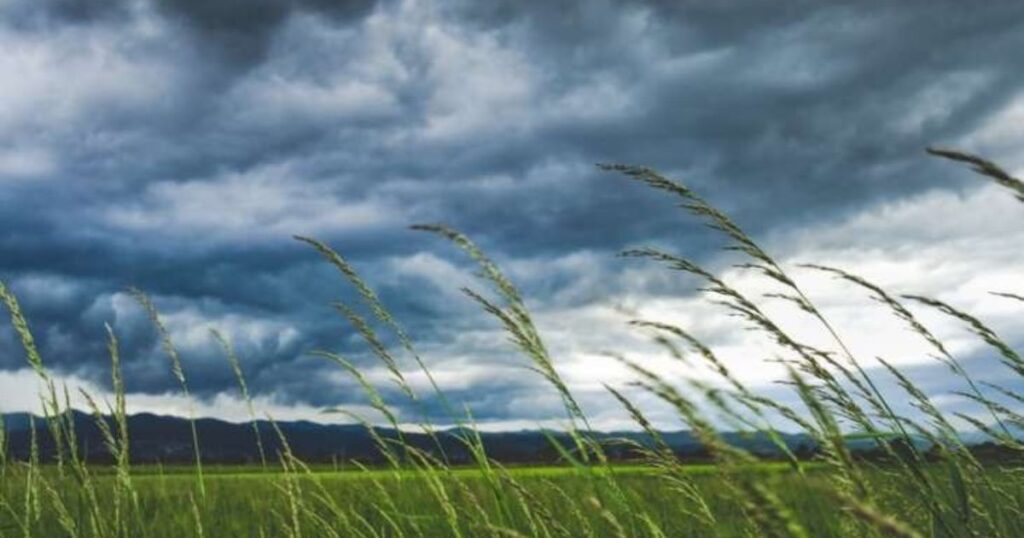 Frente fria traz temporal e ventos de até 70 km/h para o Paraná; veja onde