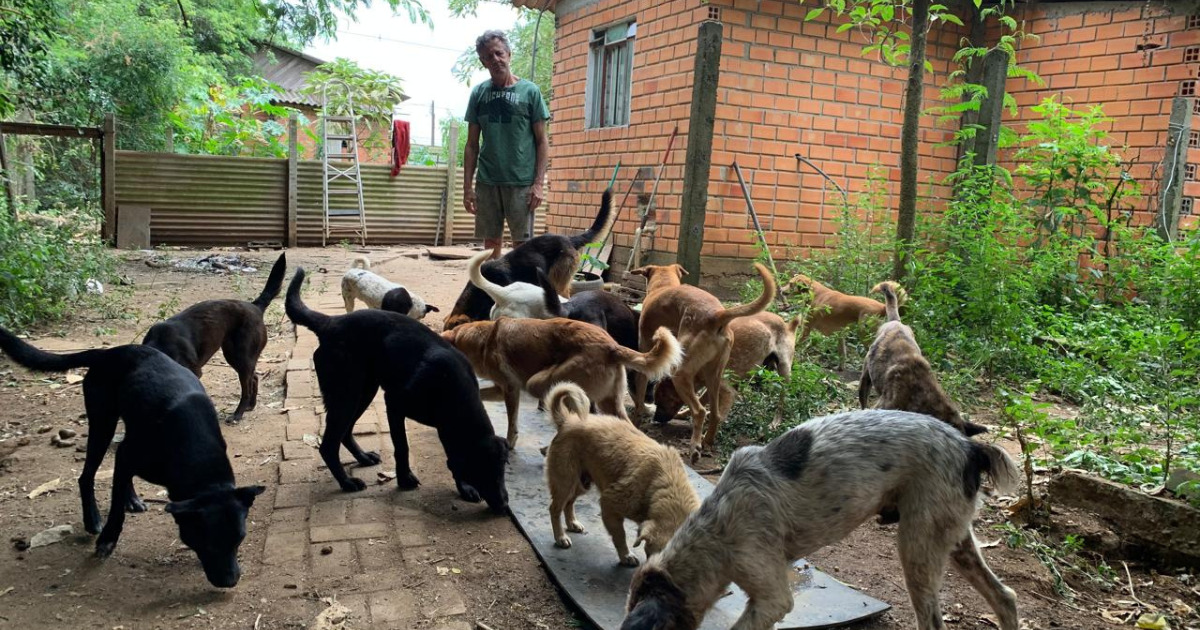 Conheça a história de Roberto Cardoso e sua luta para cuidar de animais abandonados em São Mateus do Sul