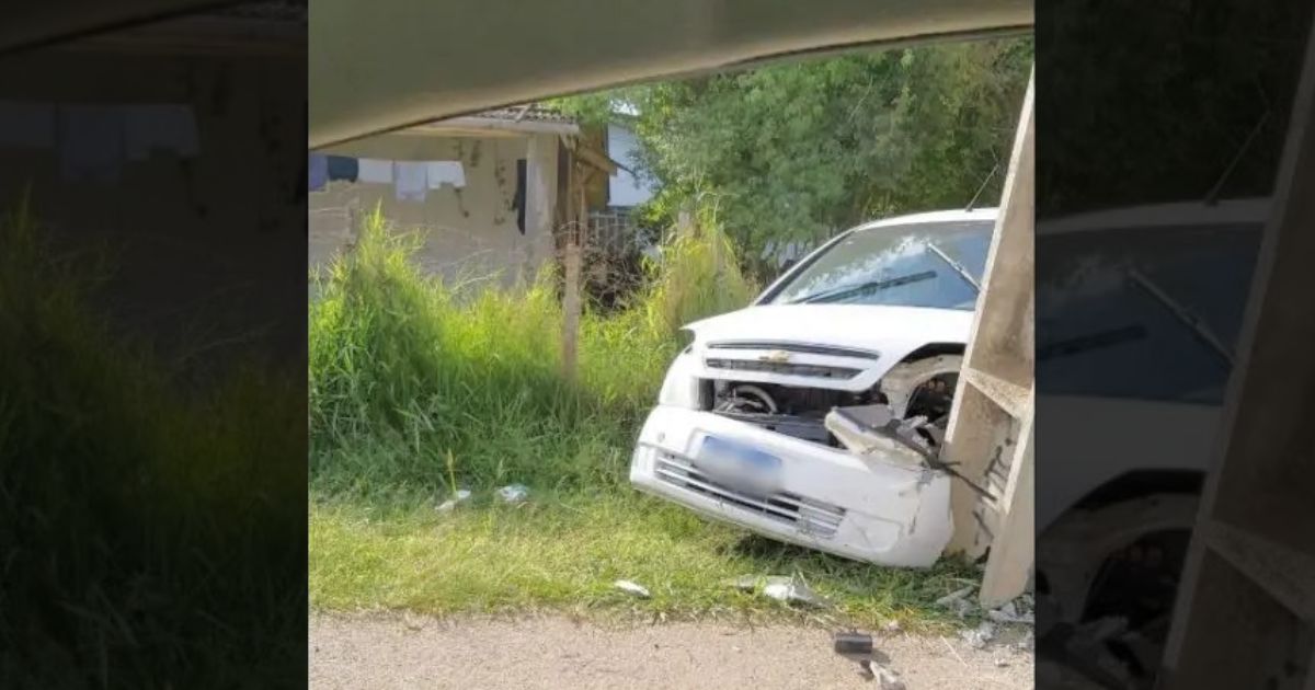 Gestante se assusta com aranha e bate carro contra poste no Paraná