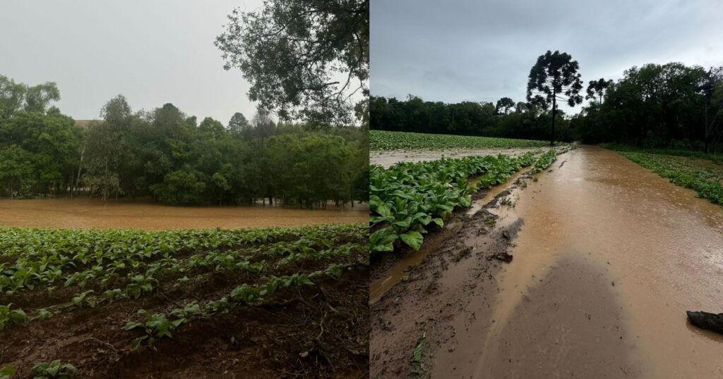 Localidades do interior de São João do Triunfo registram alagamentos após forte chuva