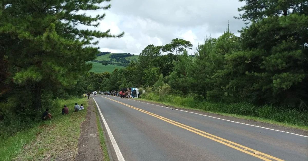 Caminhão tomba após motorista ser atacado por abelhas na descida do Frandini