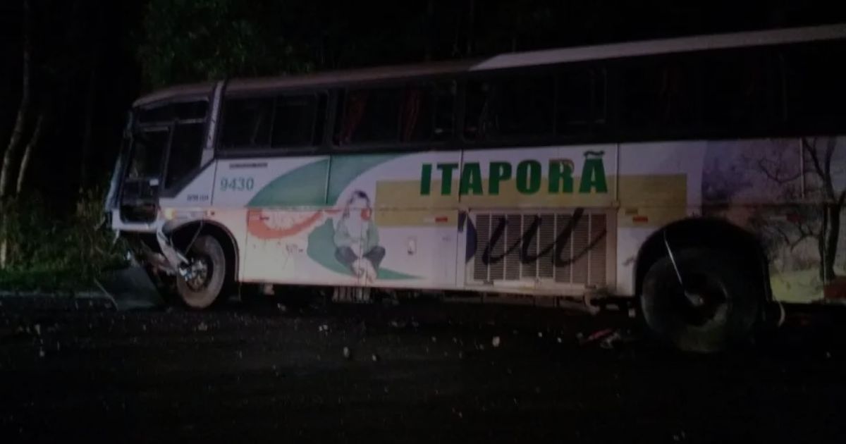 Motorista e criança morrem em batida frontal contra ônibus no PR; outra criança fica em estado grave