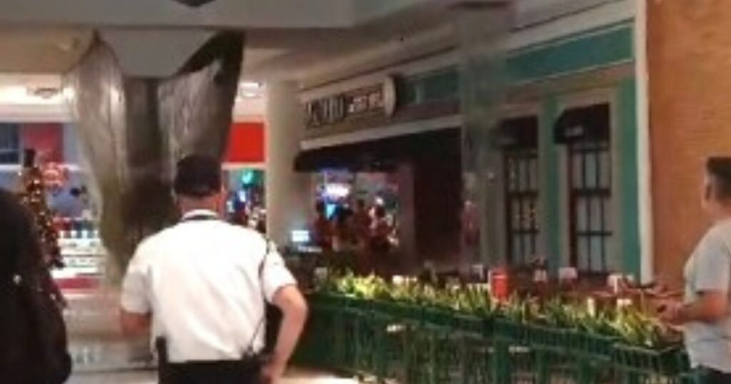 Teto desaba e lojas alagam após incidente no Shopping Palladium em Ponta Grossa