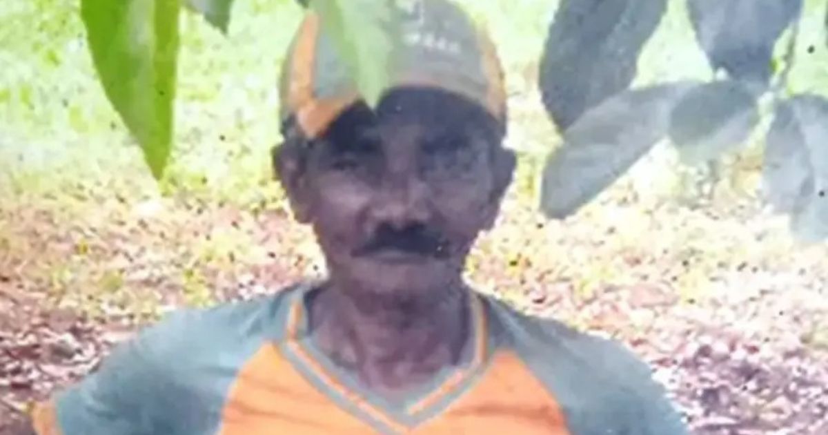 Agricultor de 72 anos morre após ser picado por cobra no Paraná