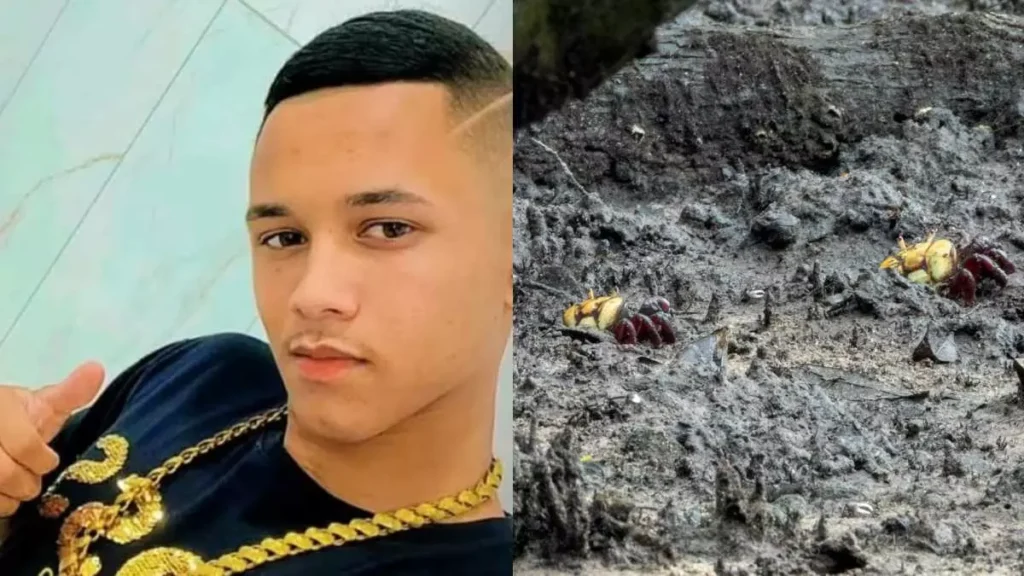 Adolescente morre em manguezal enquanto capturava caranguejos no PR