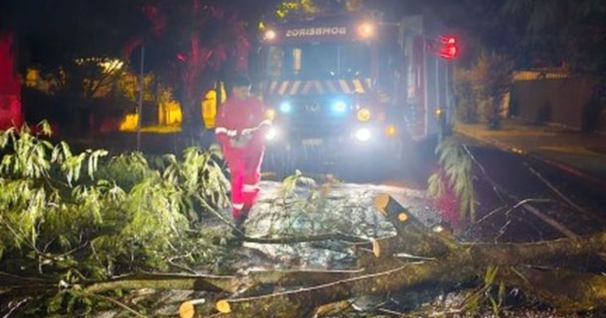 Chuva e ventos fortes causam estragos em União da Vitória