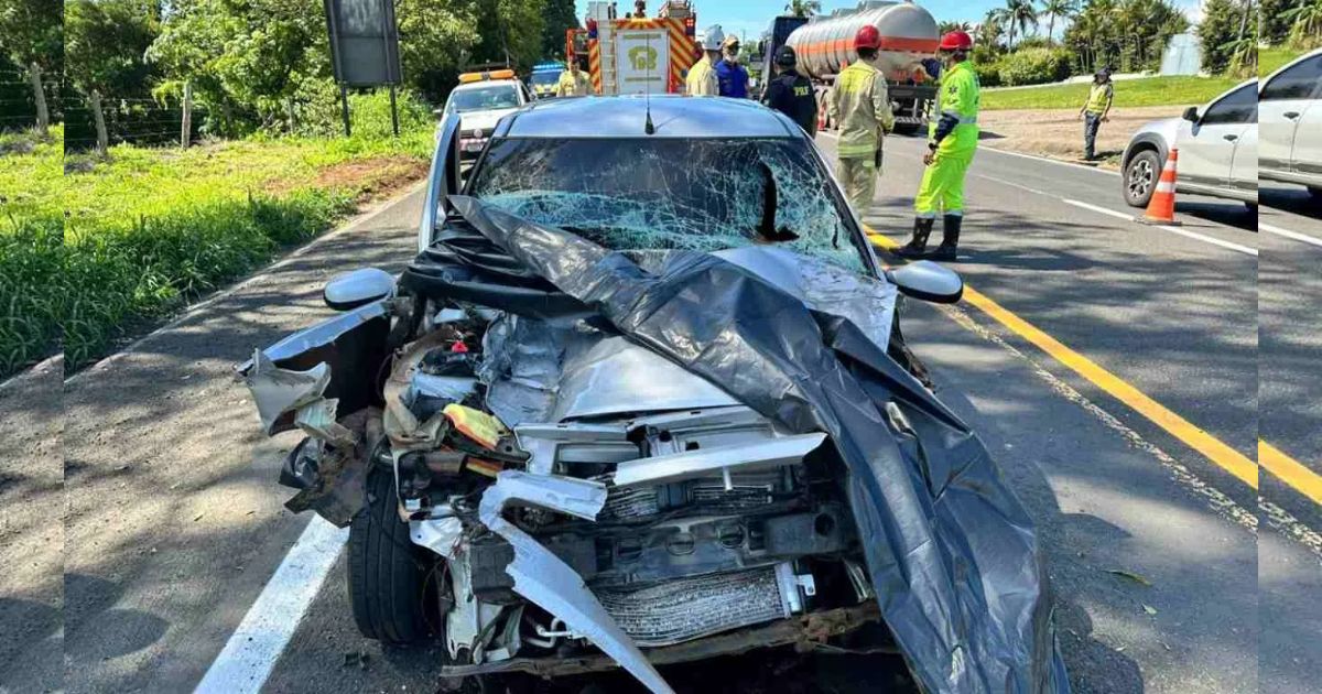 Motorista morre em colisão traseira com rodotrem na BR-153 no Paraná