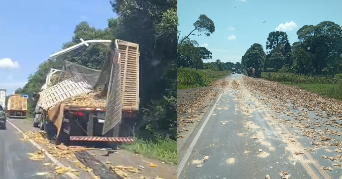 Acidente na BR-476: carretas colidem e parte da carga de milho fica espalhada sobre a pista; veja imagens