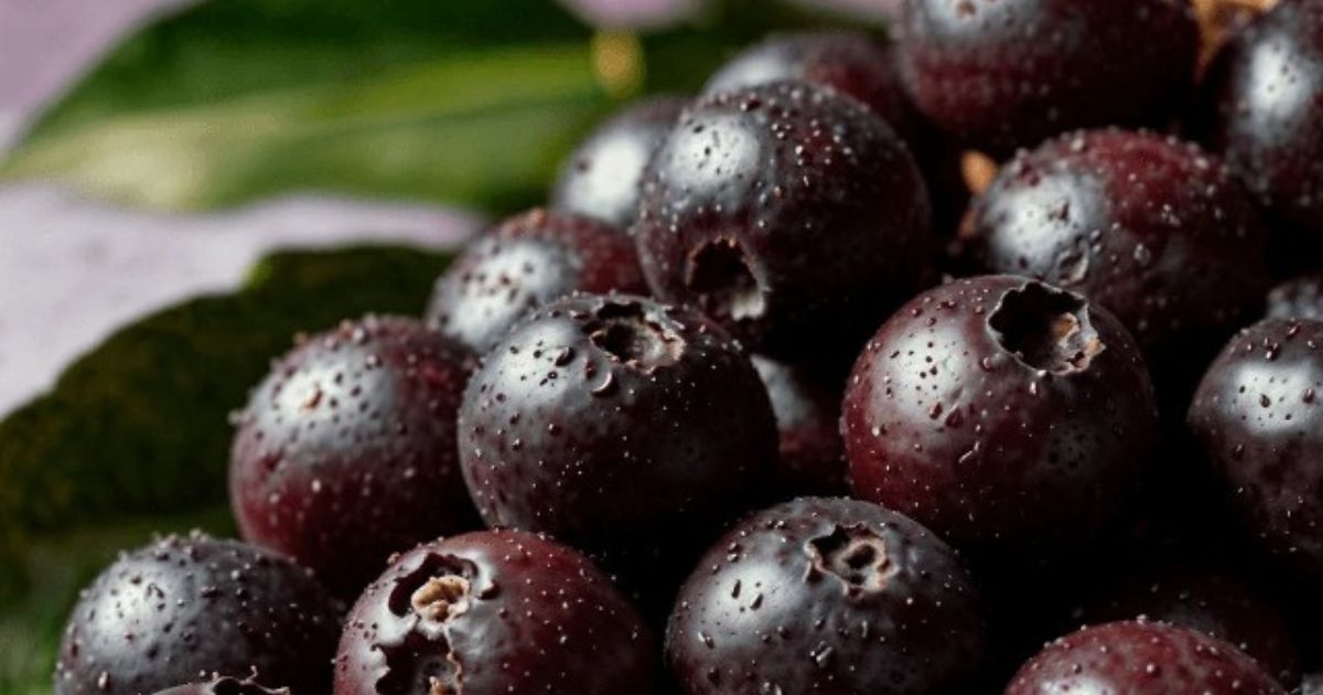 Jabuticaba é eleita a 10ª melhor fruta do mundo; saiba benefícios para a saúde