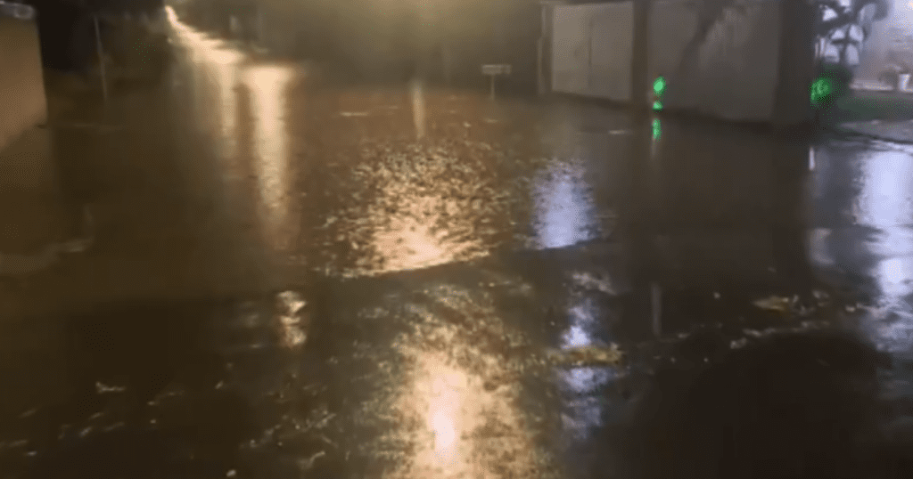 Alagamentos, destelhamentos, quedas de árvores e imóveis sem luz: chuvas, granizo e ventos fortes causam estragos no Paraná