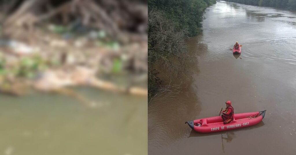 VÍDEO: corpo em decomposição é encontrado boiando no Rio Iguaçu, entre Lapa e Balsa Nova