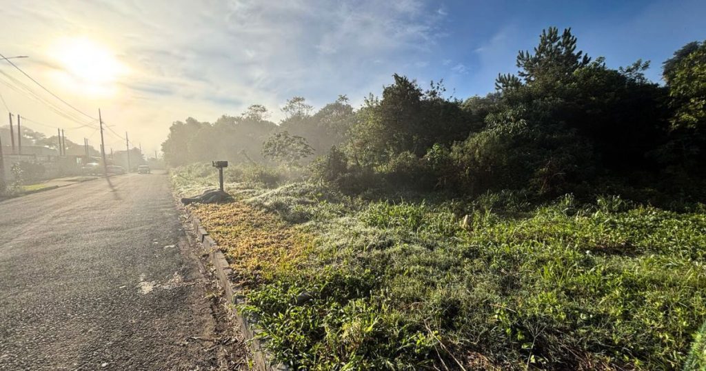 Frio intenso: São Mateus do Sul registra 3,9 °C, menor temperatura do ano até agora