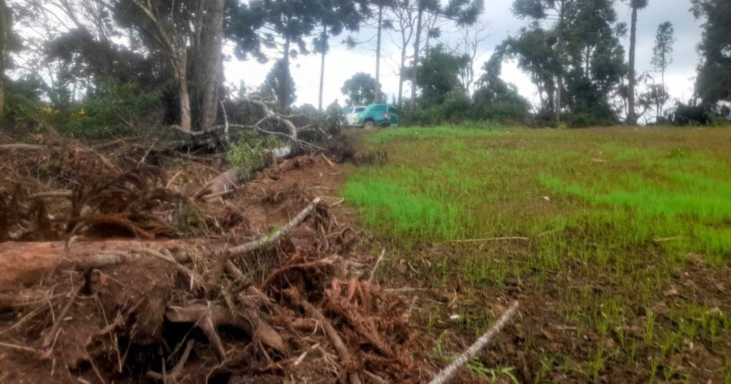 Polícia militar ambiental autua proprietário em São João do Triunfo por danos à vegetação nativa