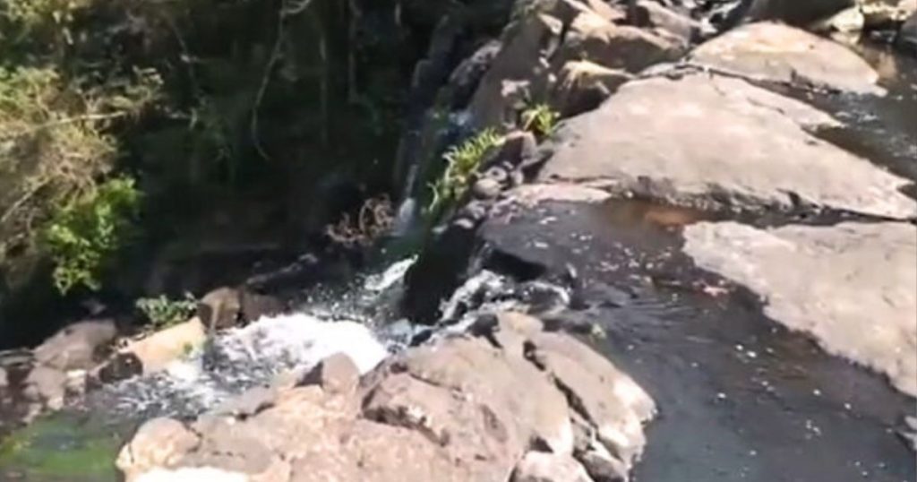 Homem é preso suspeito de matar mulher grávida em trilha de cachoeira, no Paraná
