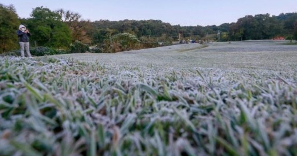 Previsão de geada para São Mateus do Sul nesta quarta-feira (11): mínima deve ser de 4 °C