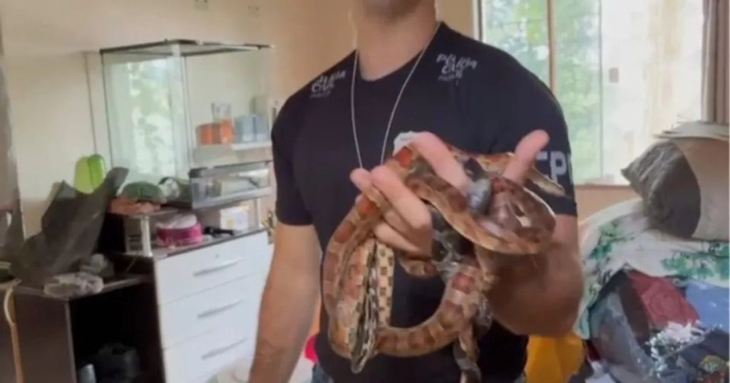 Homem é preso em flagrante por tráfico de animais em Imbituva