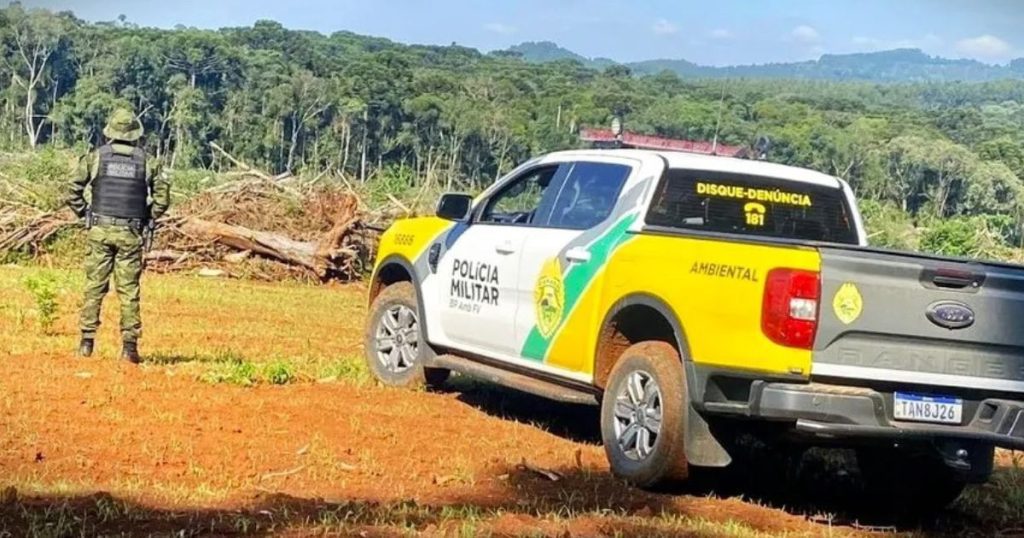 Polícia encontra mais de 85 Araucárias cortadas ilegalmente em Imbituva