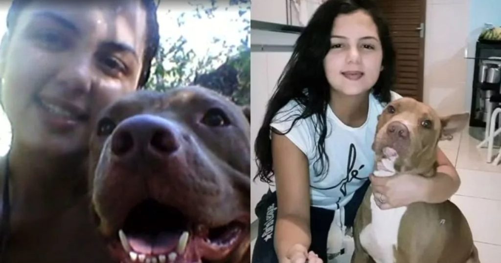 Mulher morre atacada por pitbull de estimação dentro de casa