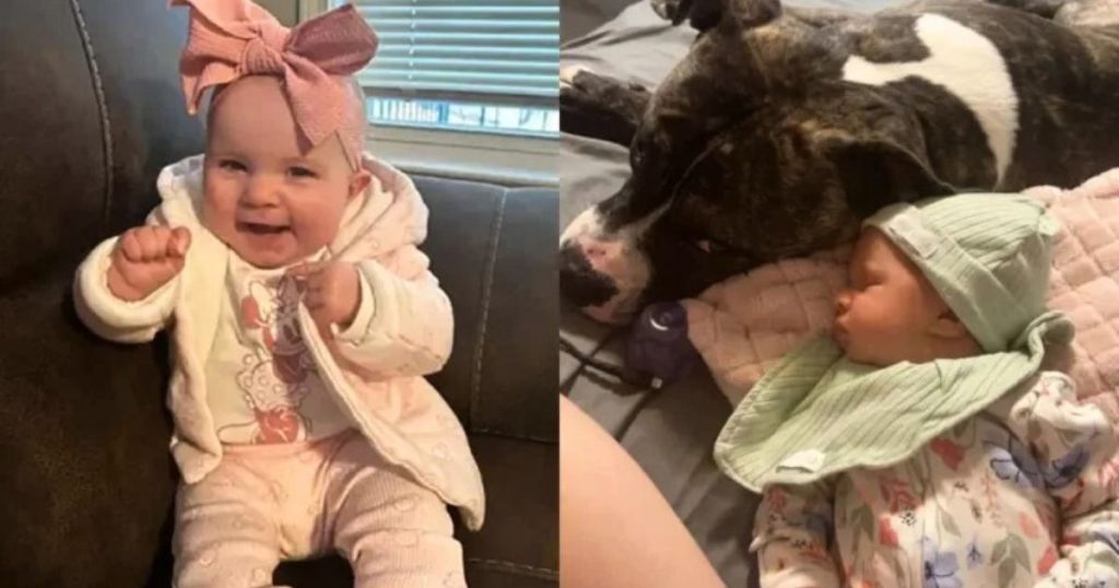 Emocionada, mãe lamenta morte de bebê atacada por pitbull: ‘Estou destruída’