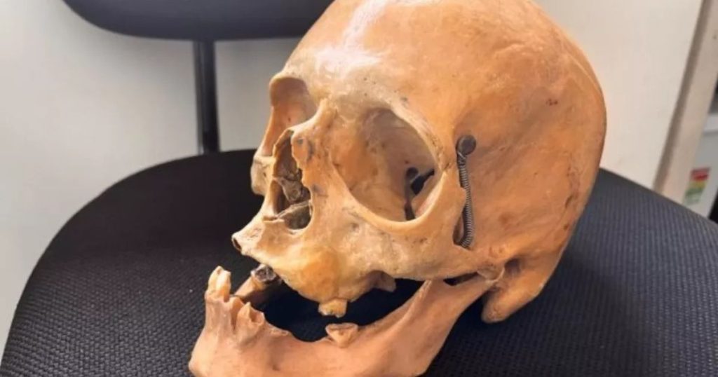 Crânio humano é encontrado em armário de ex-coletor no Paraná