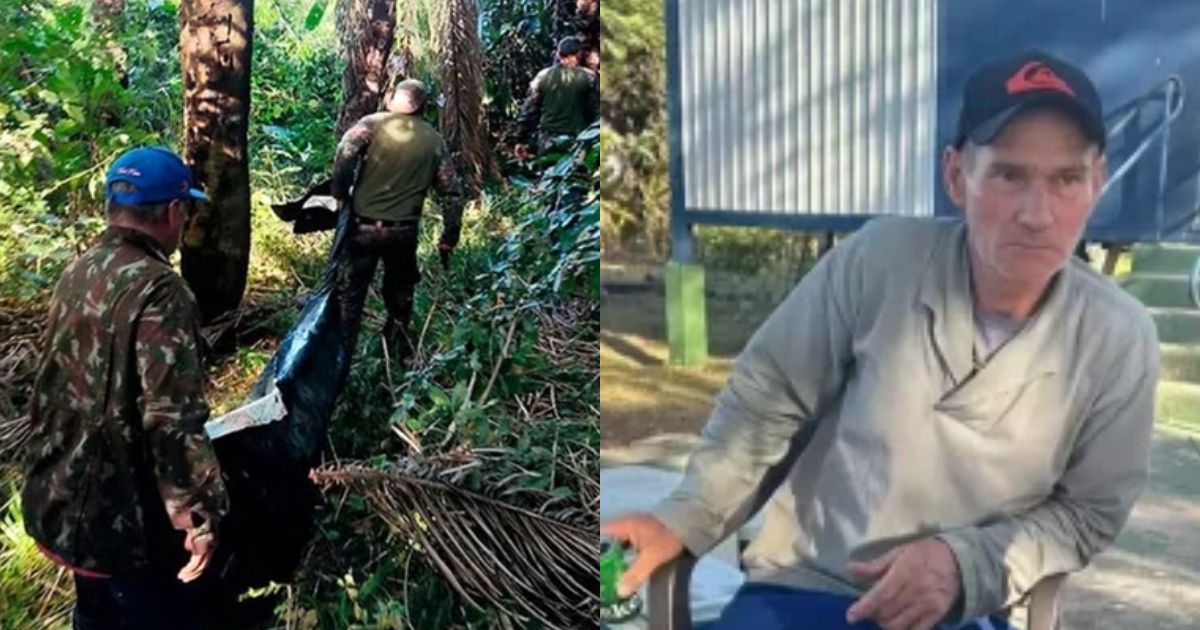 VÍDEO: onça ataca novamente e surpreende equipe durante buscas por caseiro morto no Pantanal