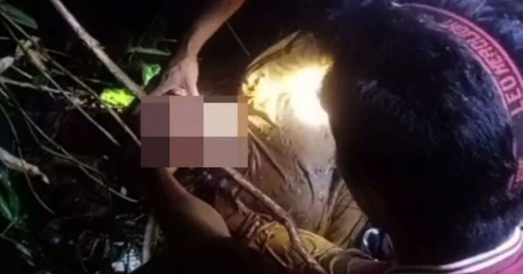 Homem encontra mãe morta com a cabeça na boca de cobra gigante