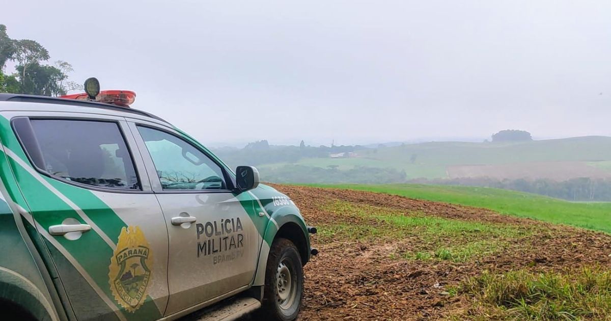 Polícia Ambiental flagra desmatamento ilegal em Antônio Olinto e aplica multa de R$ 28 mil