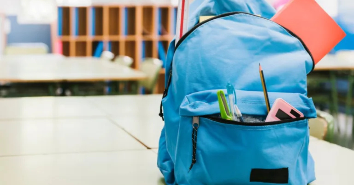 Comissão do Senado avalia obrigatoriedade de profissional de segurança nas escolas