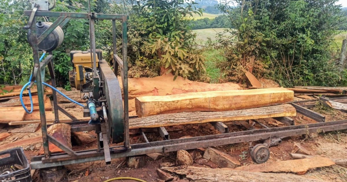 Polícia Ambiental apreende serra móvel clandestina e madeira de espécie ameaçada em Prudentópolis