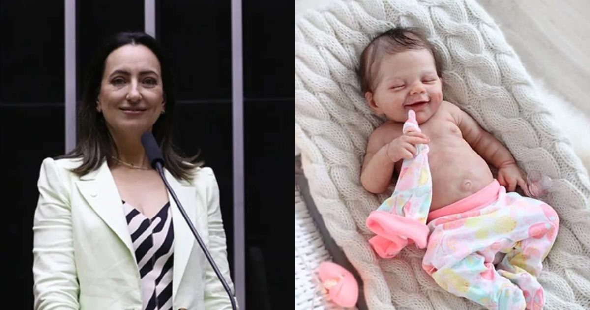 Rosângela Moro propõe atendimento no SUS para pais de bebê reborn