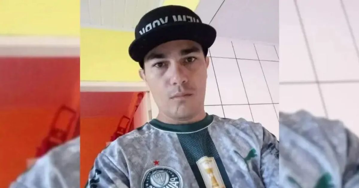 Homem morre após ser atingido por eucalipto no Paraná