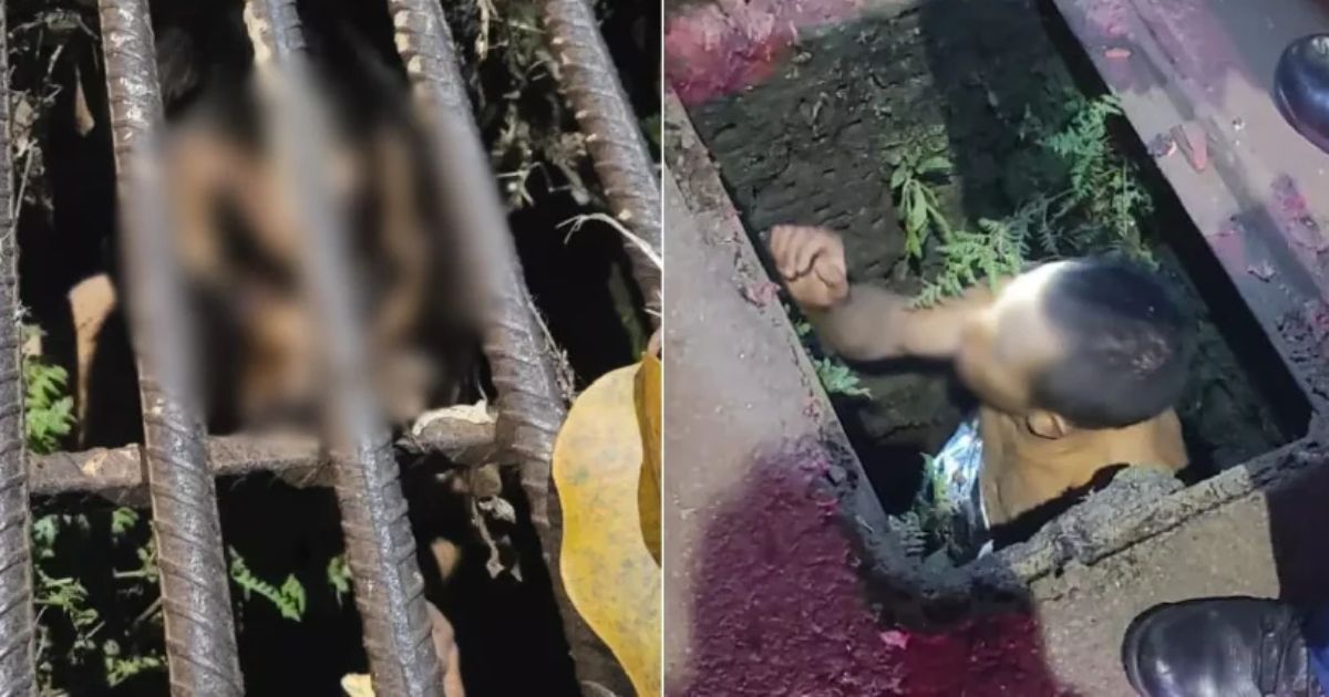 Eita! ‘Peladão’ fica preso em bueiro após fugir da polícia