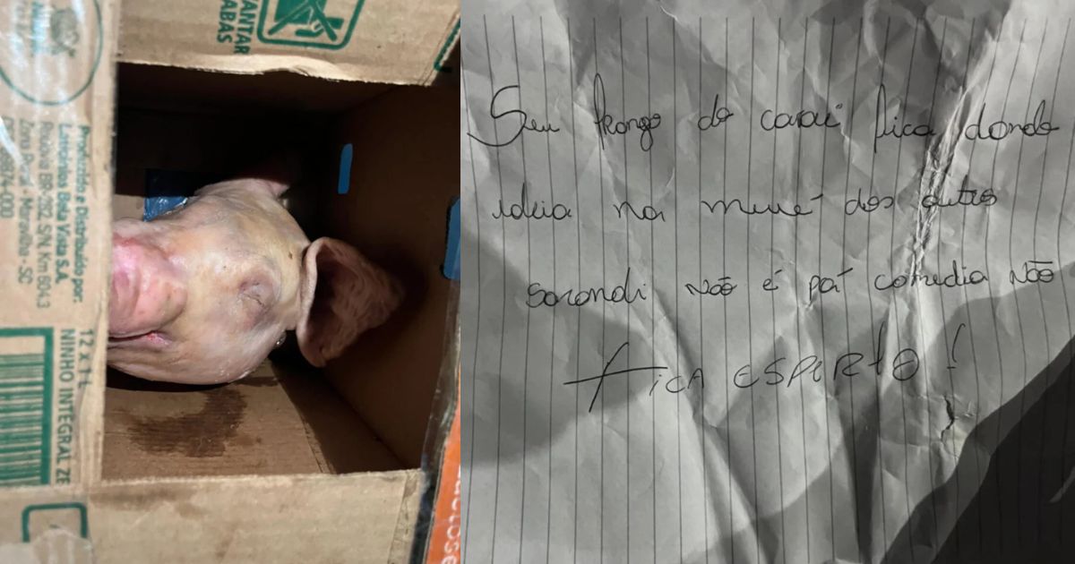 Homem recebe cabeça de porco e bilhete com ameaças no Paraná