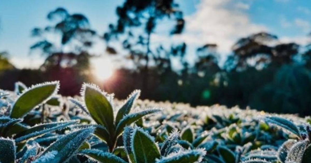 Frente fria traz chuva e frio ao Paraná; São Mateus do Sul pode registrar 0 °C e geada no fim do mês