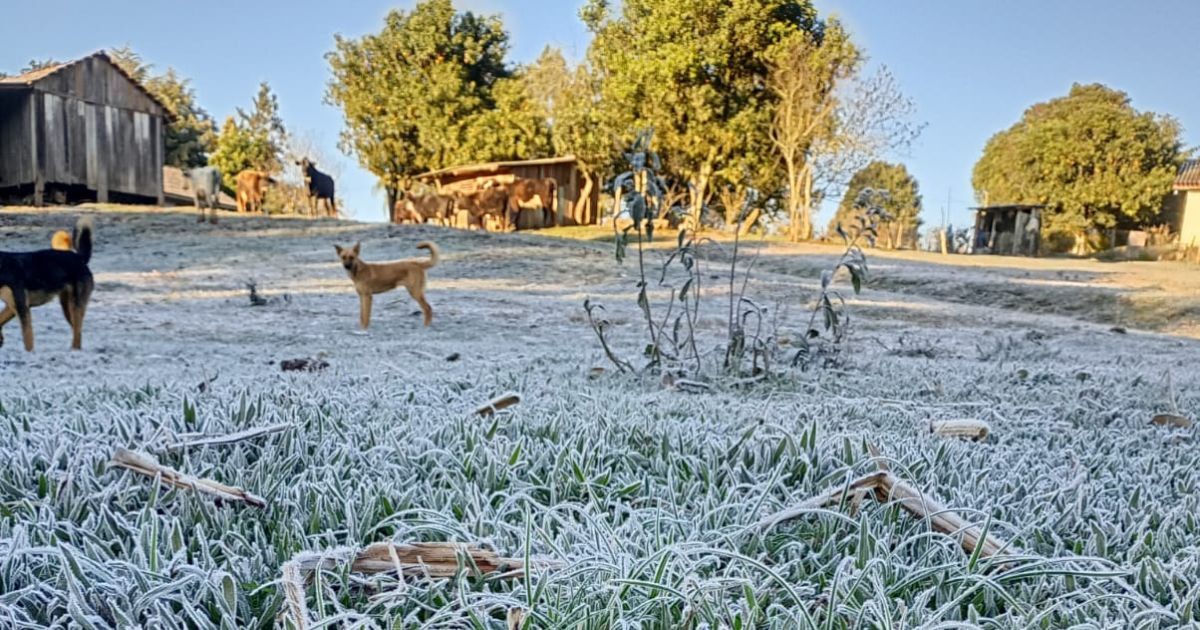  São Mateus do Sul registra -4,2°C e entra no ranking das menores temperaturas do Paraná em 2025