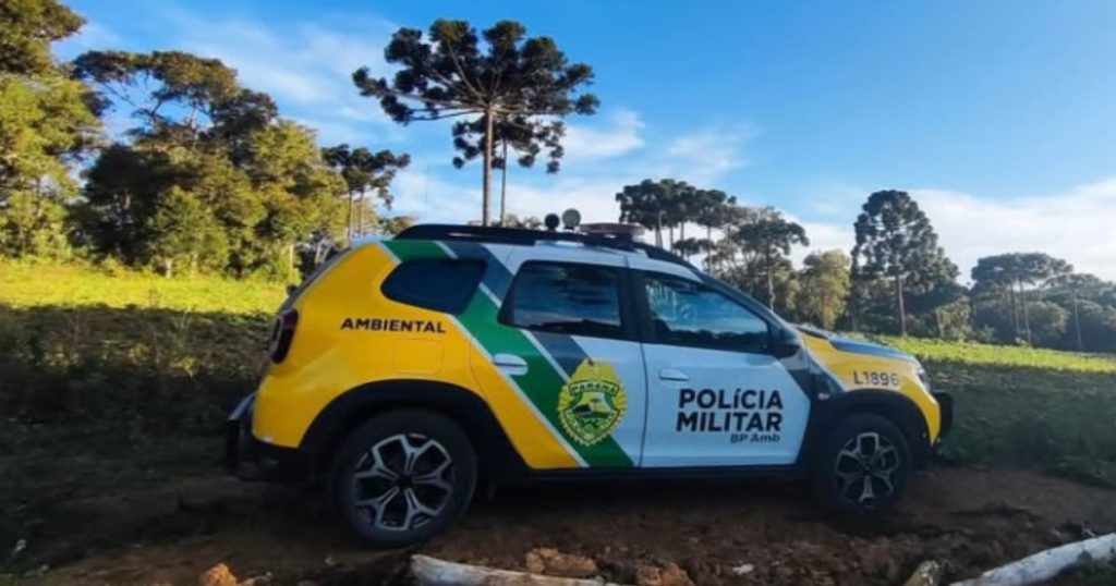 Imagens de satélite revelam desmate ilegal em Antonio Olinto; responsável é multado